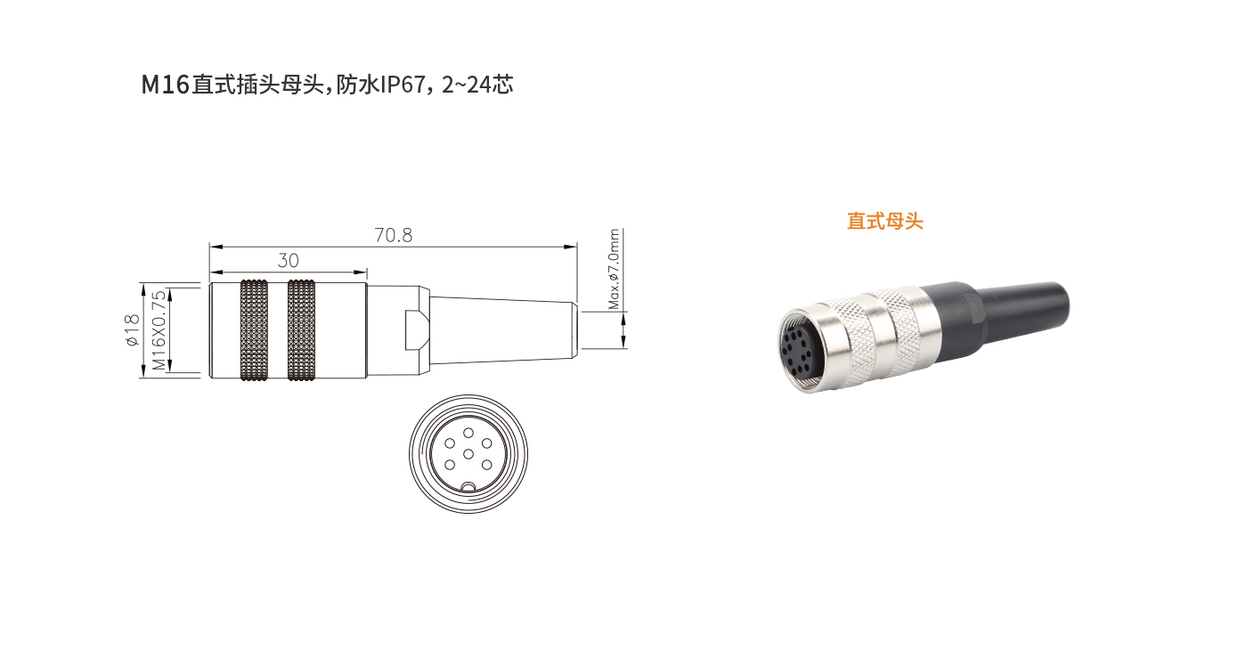 M16直式插頭母頭